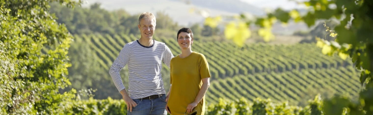 Weingut Steitz