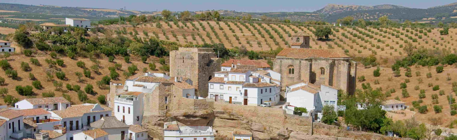 Bodegas Francisco Casas