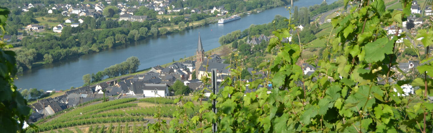 Weingut Gindorf