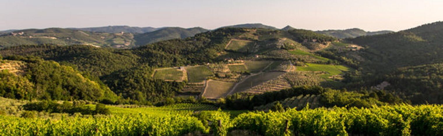 Weingut Novantaceppi