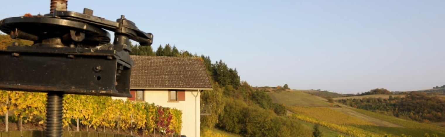 Weingut Simonshof