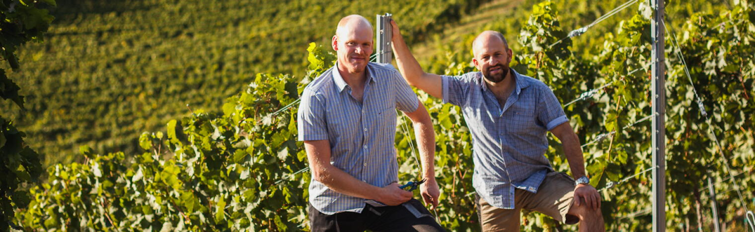 Weingut Bremm