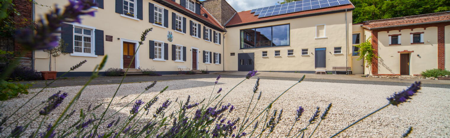 Weingut Steinmühle