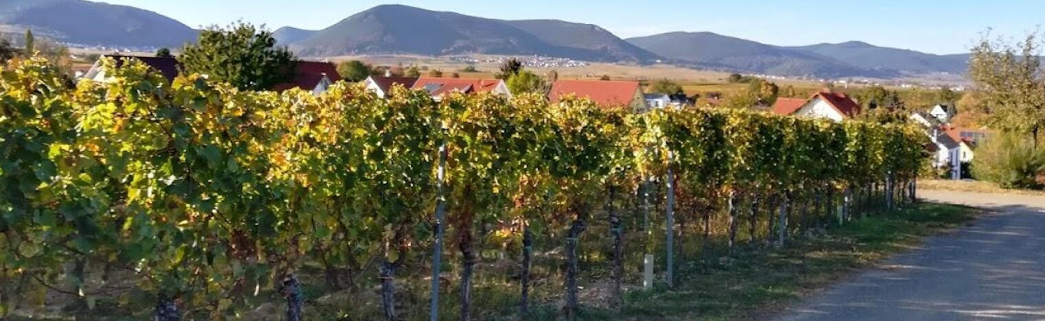 Weinhaus Zwick