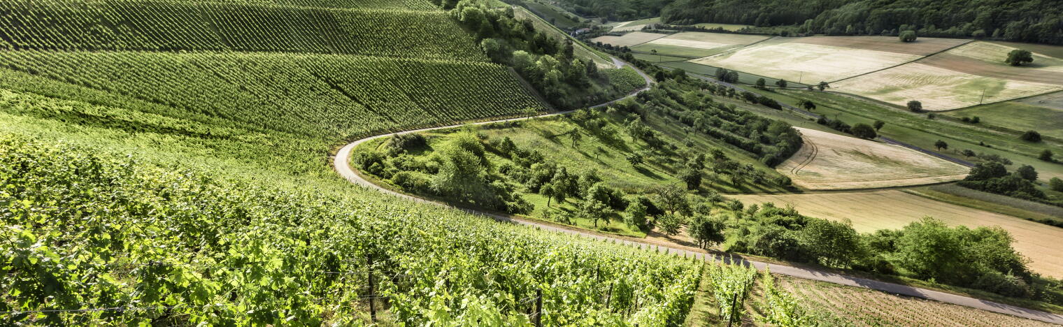 Weingut Neder