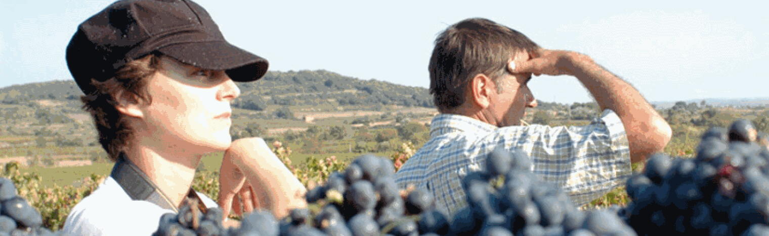 Weingut Domaine La Grange