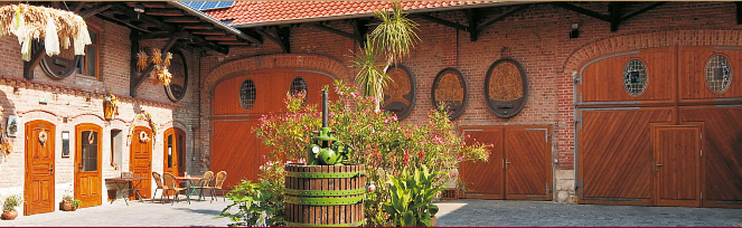 Weingut Thürkind