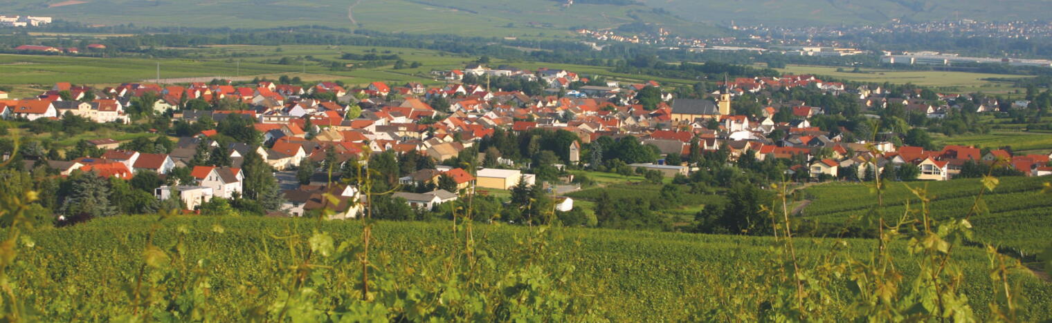 Weingut Feser