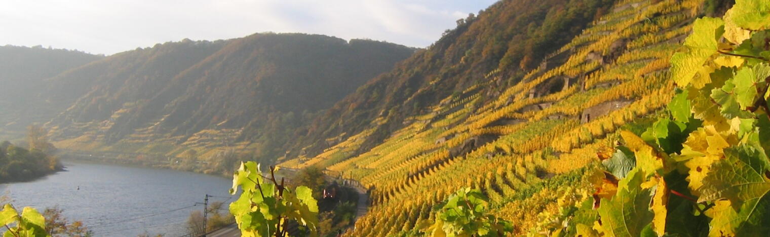 Sektkellerei und Weingut von Canal