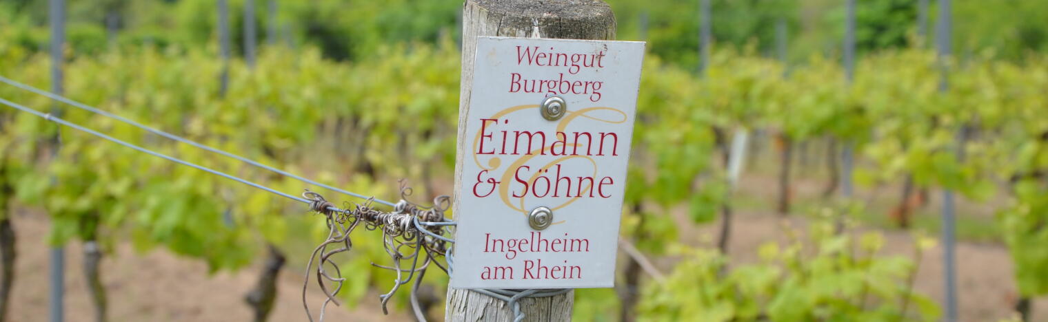 Weingut Burgberg Eimann & Söhne
