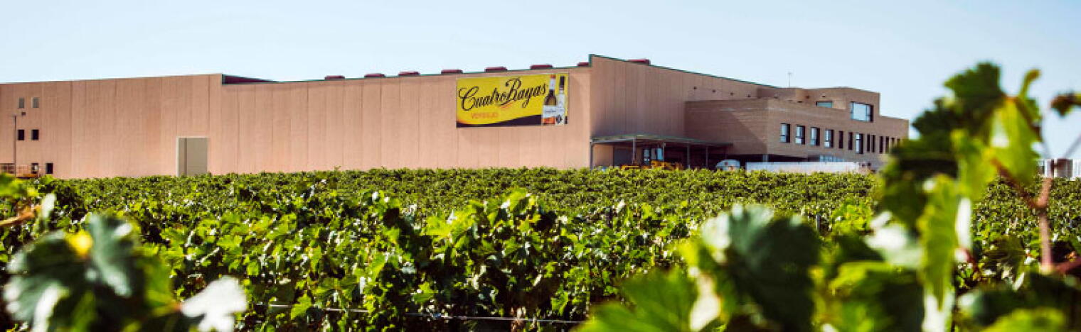 Cuatro Rayas DOPPELT mit Weinlager 1