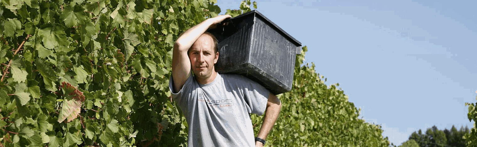Weingut Marco Porello