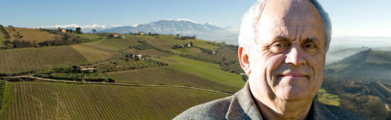 Weingut Tenuta De Angelis