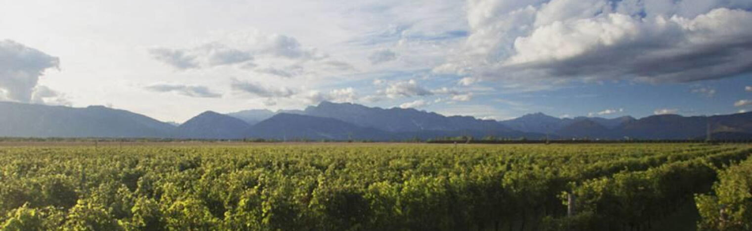 Weingut Antonutti