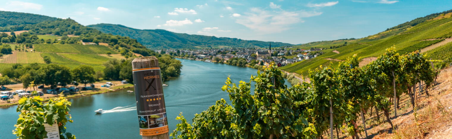 Weingut Bernd Hermes