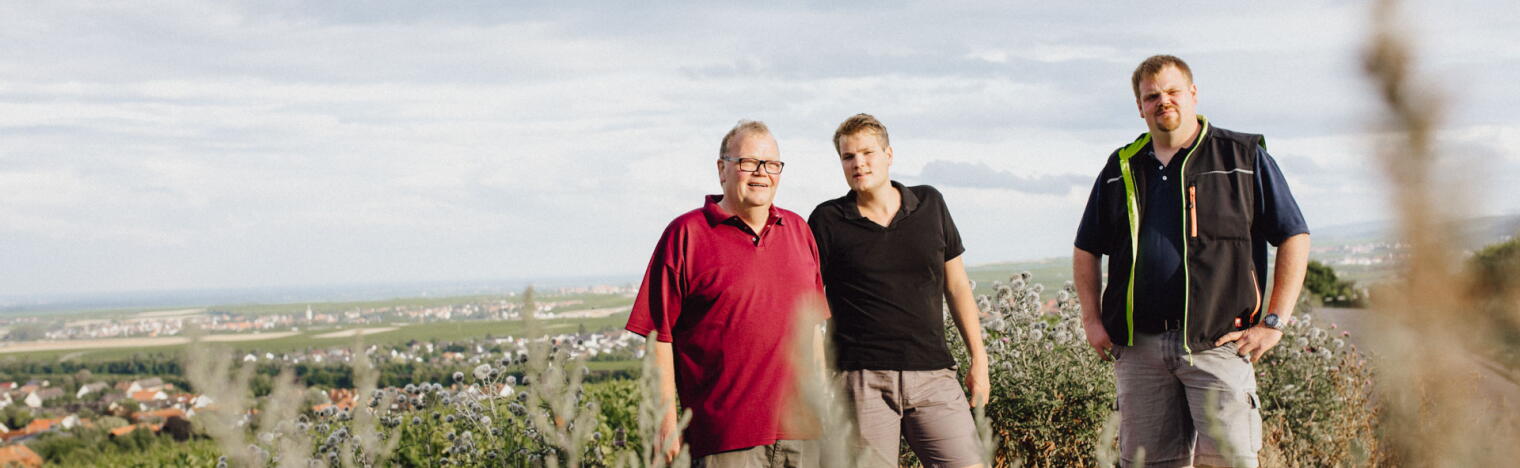 Weingut Schenk-Siebert