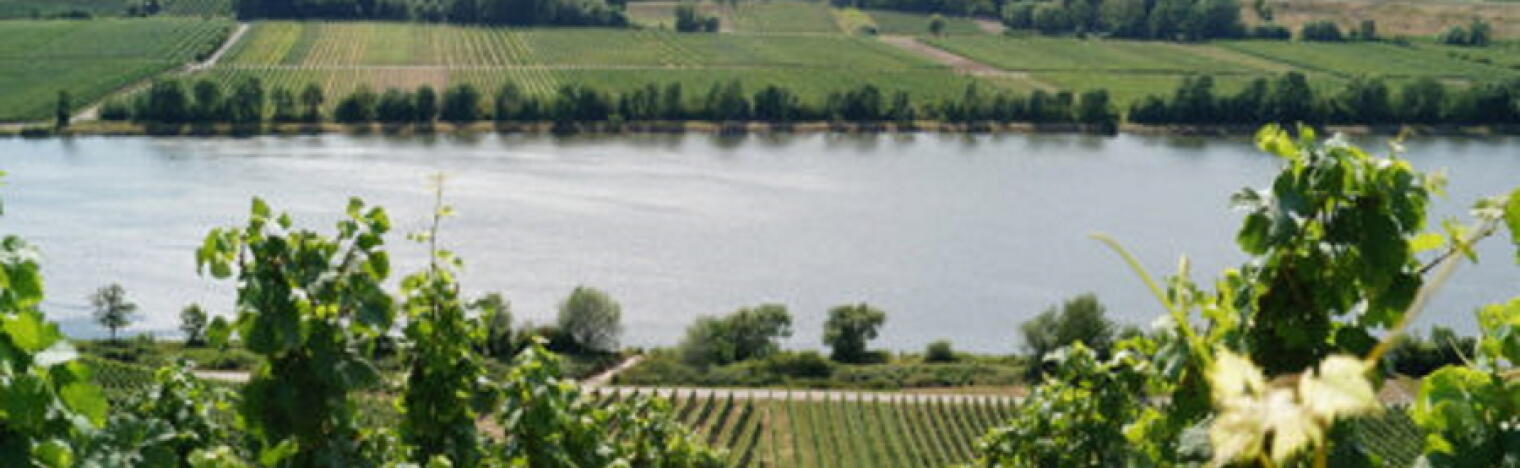 Weingut Karl Braun