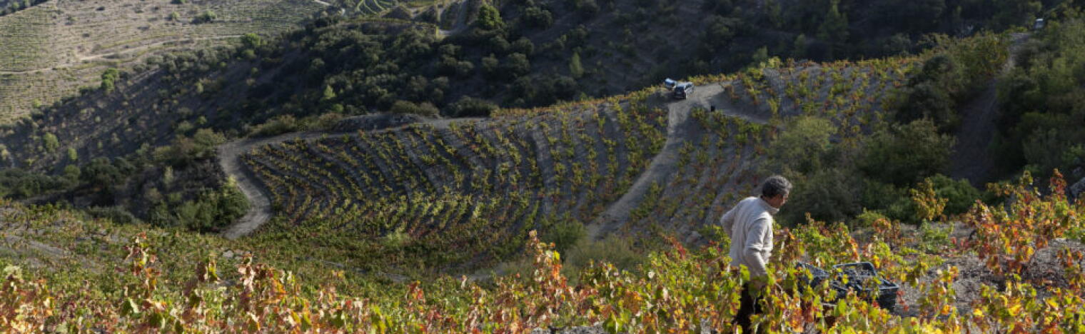 Celler de l'Encastell