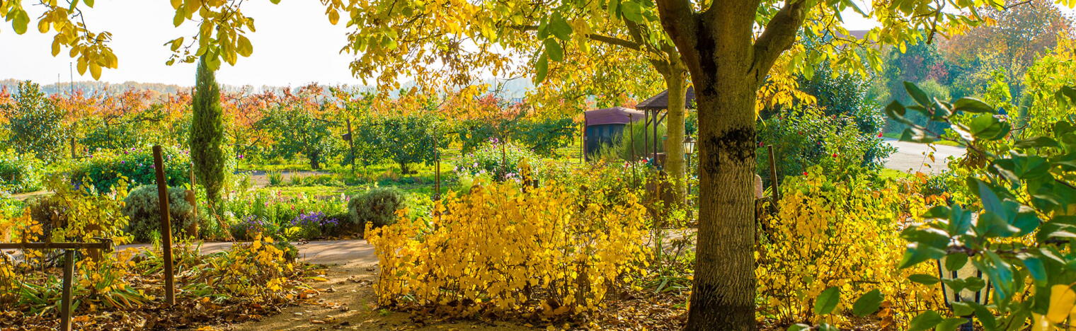 Weingut Schröder
