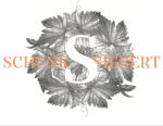 Logo von Weingut Schenk-Siebert