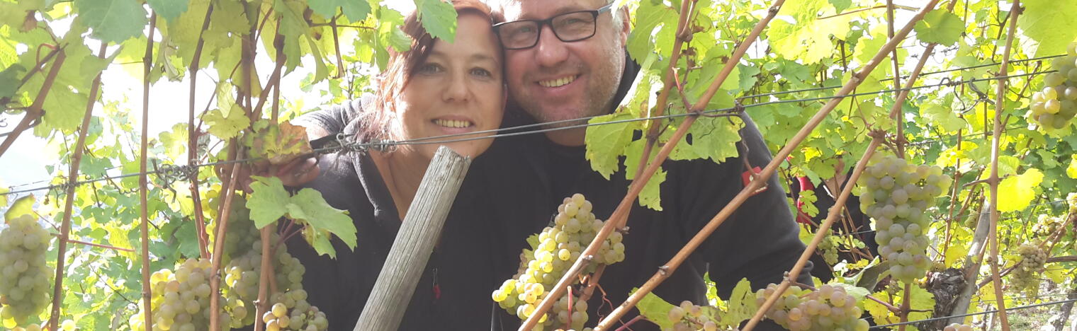 Weingut-Brennerei Detlef Müllers