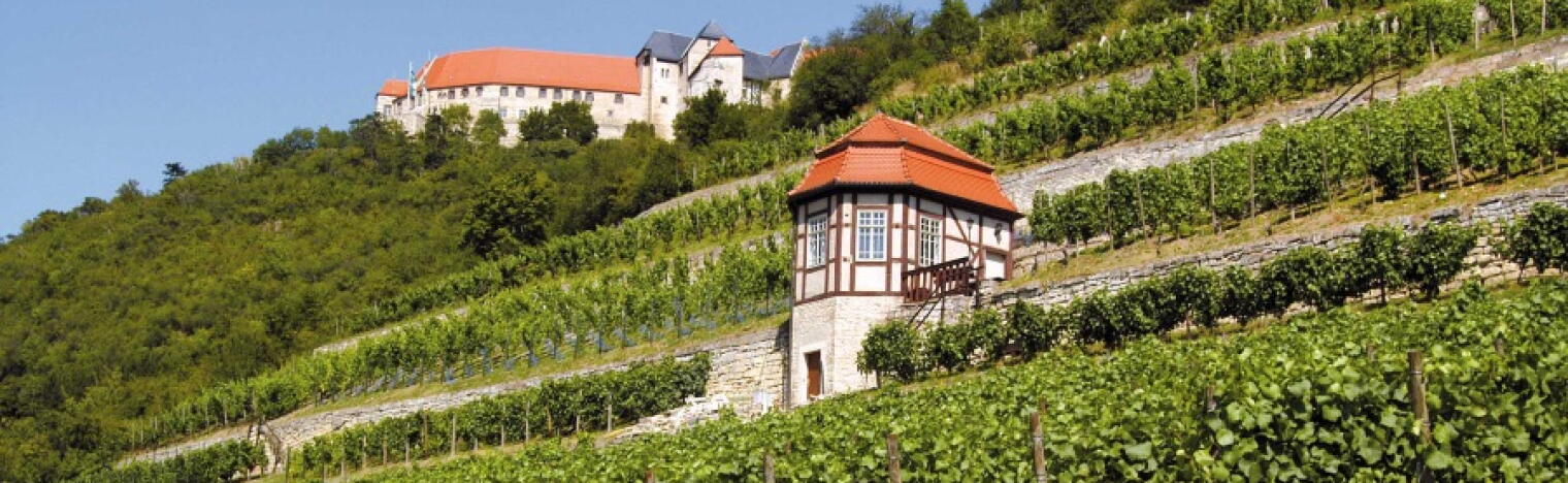 Winzervereinigung Freyburg-Unstrut