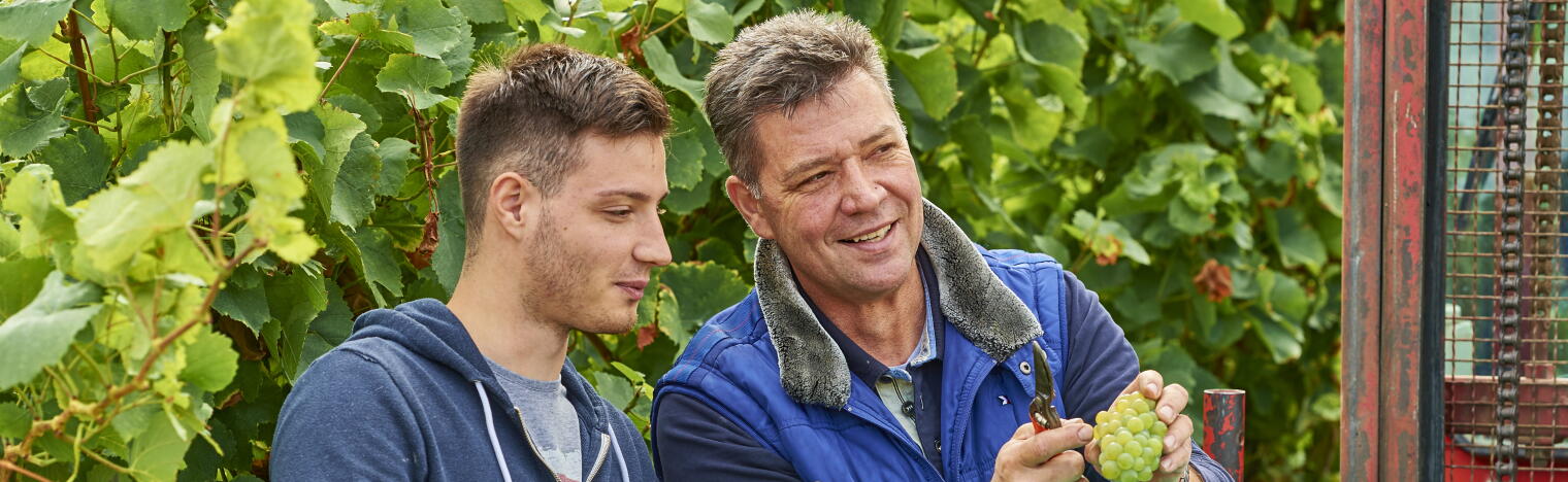 Weingut Strubel-Roos