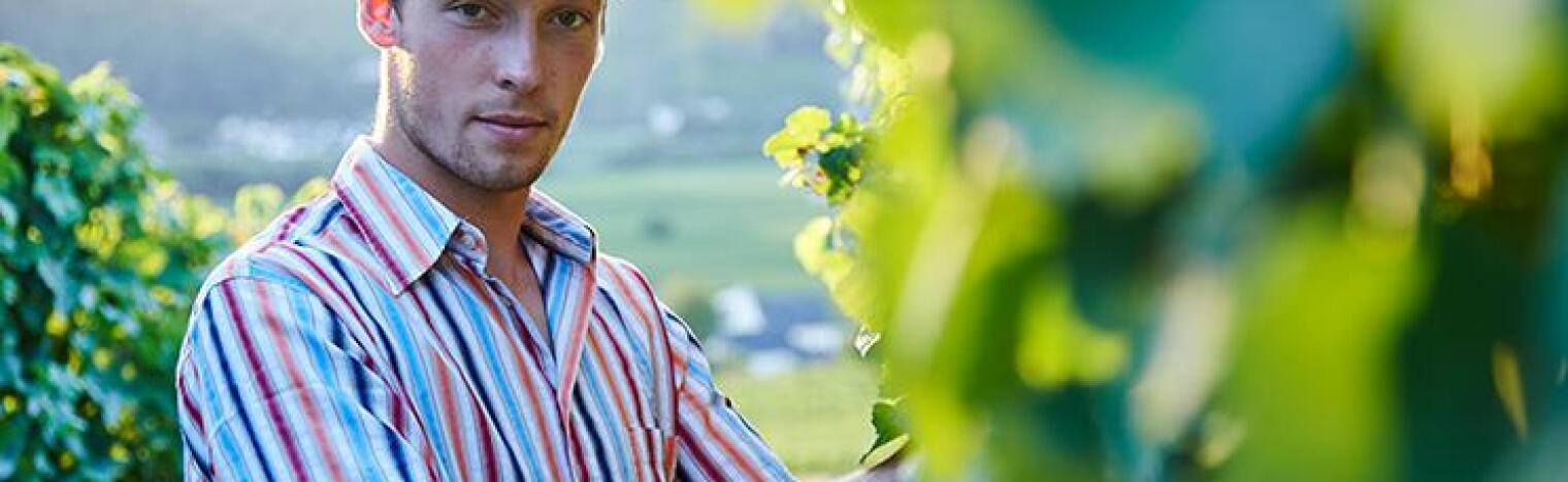 Weingut Daniel Anker