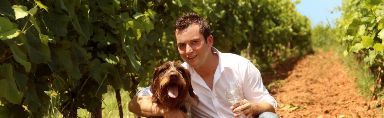 Weingut Ritter
