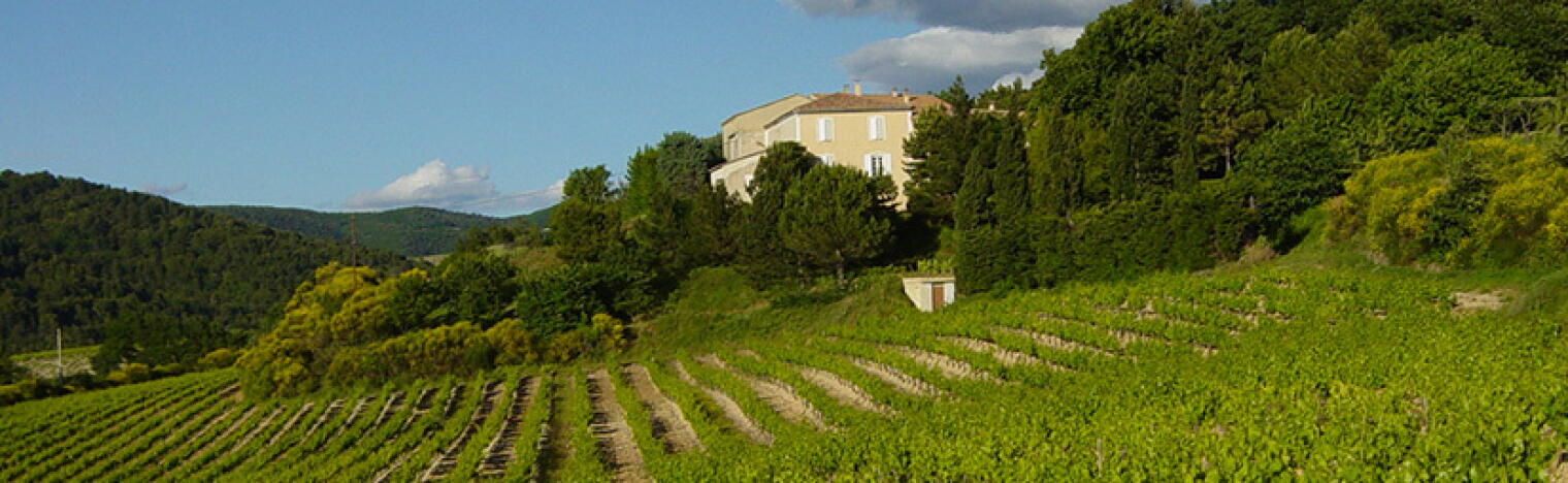 Weingut Bertrand Stehelin
