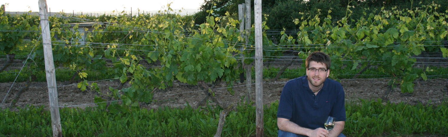 Weingut Heinrich Immich-Anker