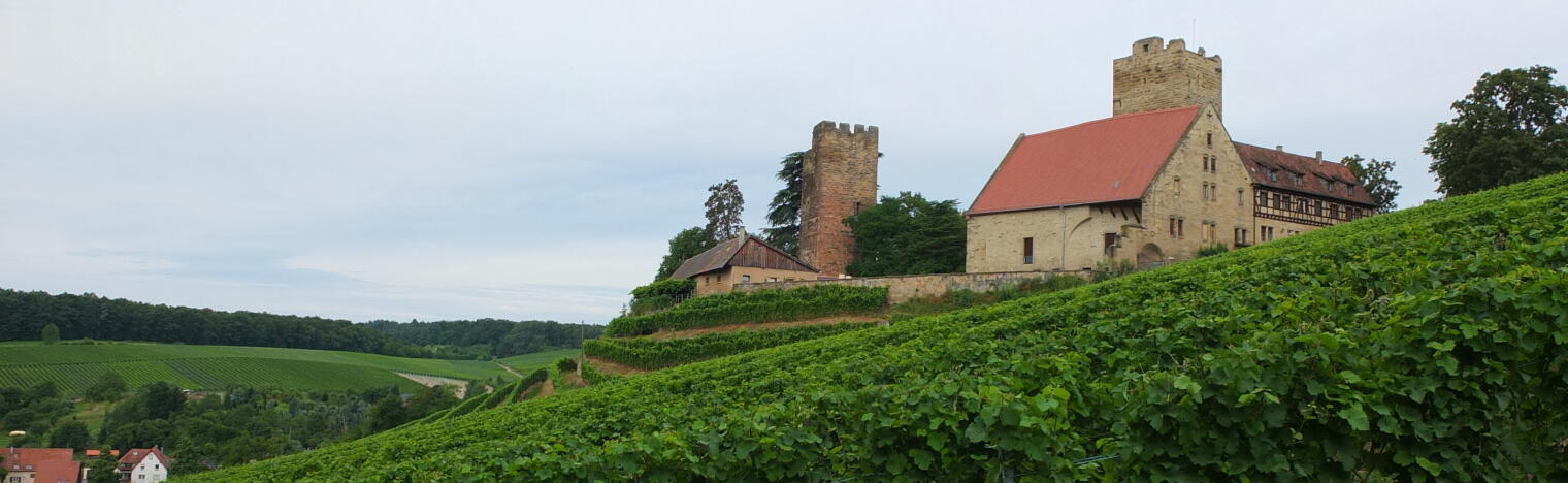 Weingut Graf Neipperg