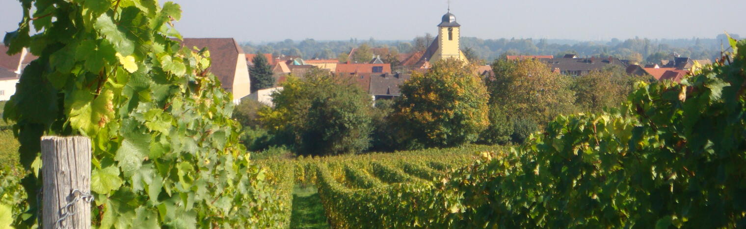 Weingut Wolf