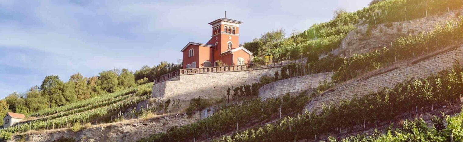Weinhof Winter