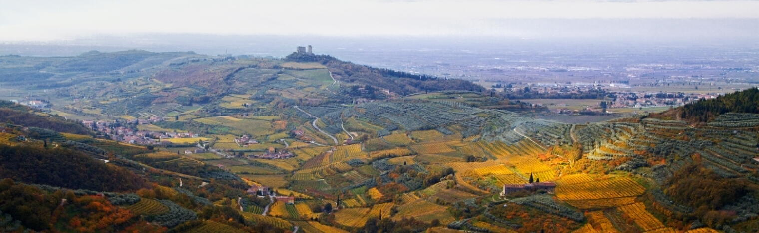 Contri Spumanti