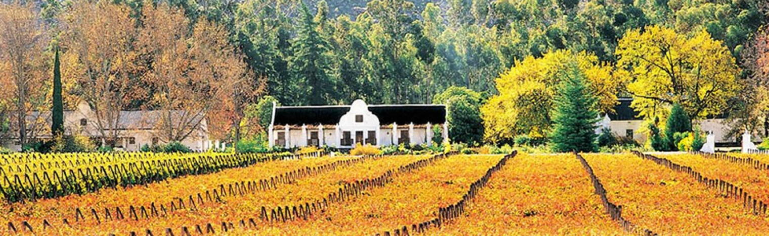 Weingut Muratie Estate