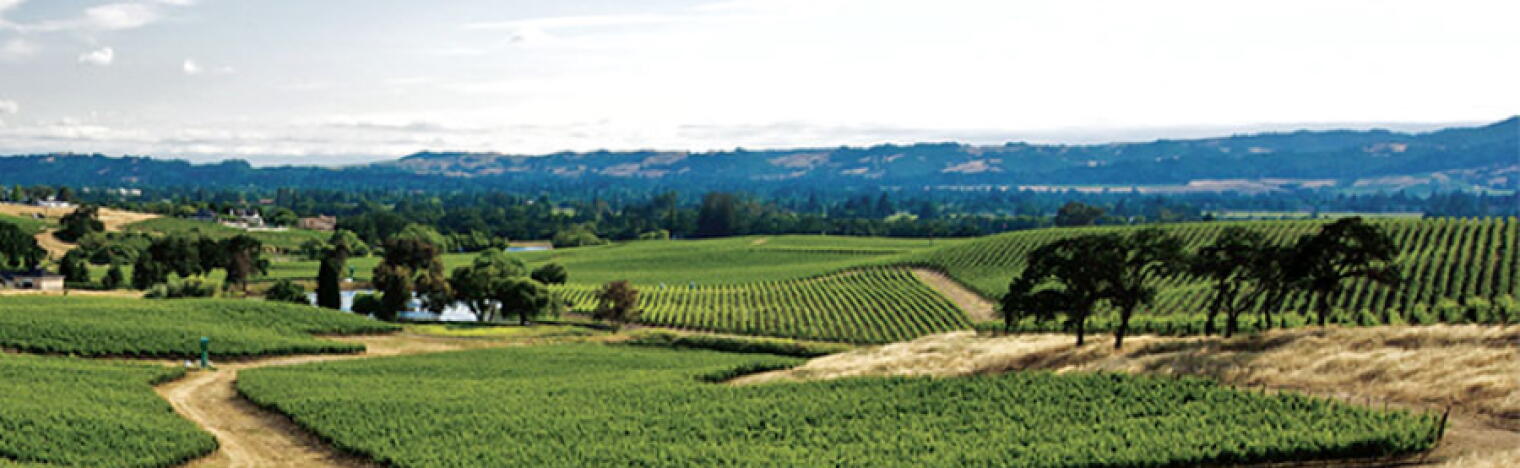 Weingut Gallo Family Vineyards