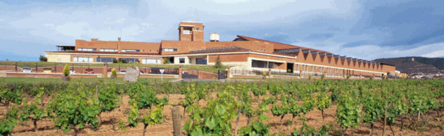 Weingut Enate