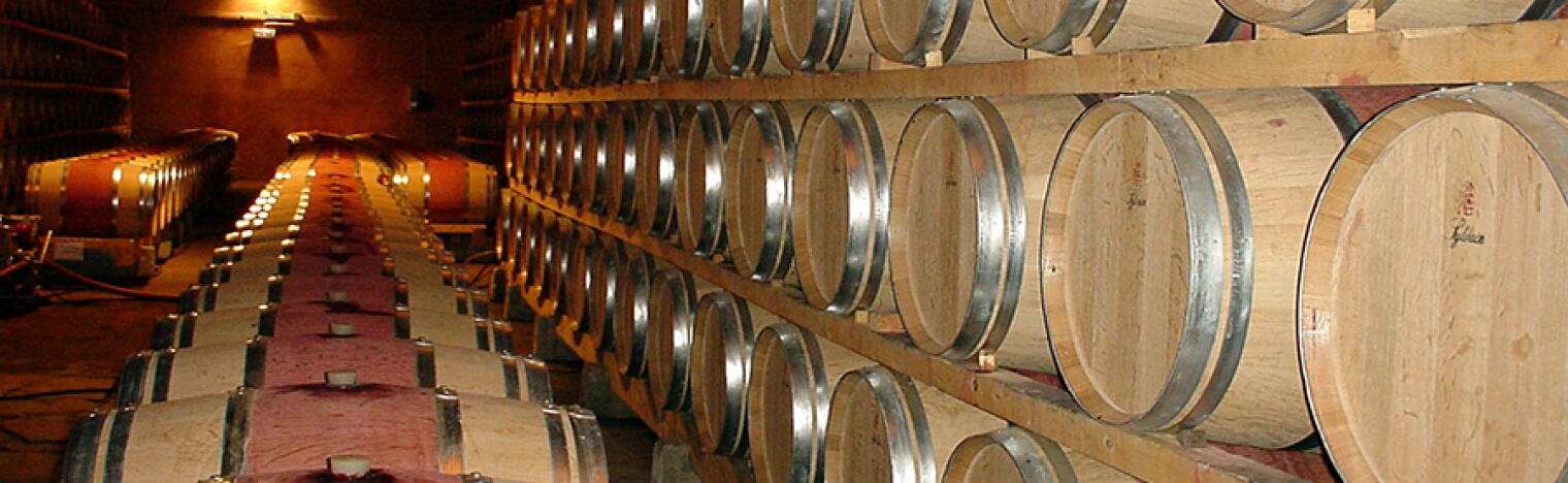 Weingut Virna Borgogno