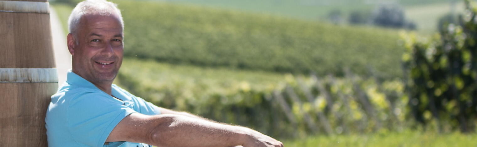 Weingut Schweickardt