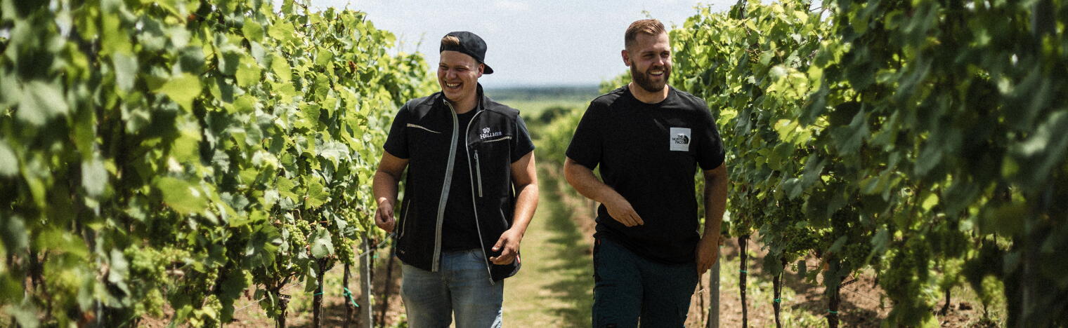 Weingut Hellmer