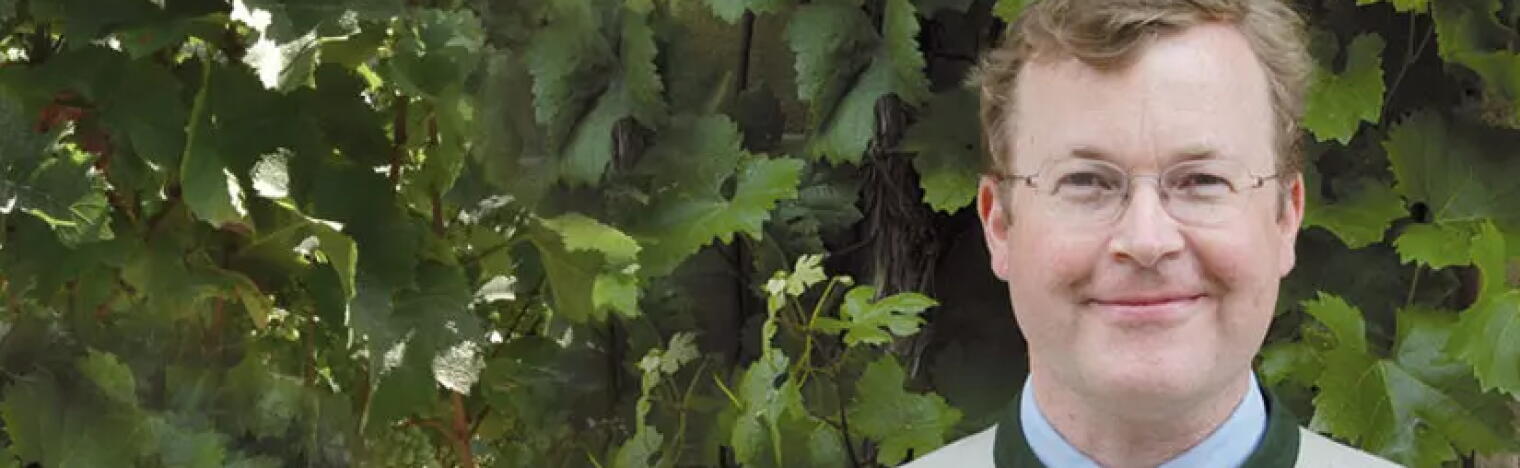 Weingut Fürstlich Castell'sches Domänenamt