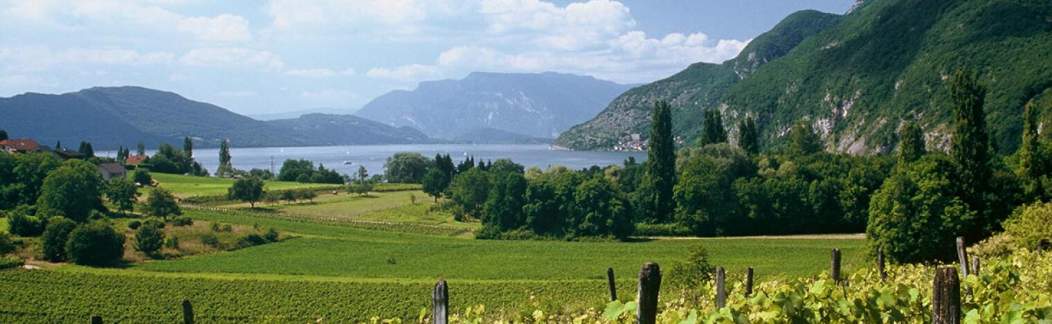 Weingut Mythique - Vignerons de la Méditerranée