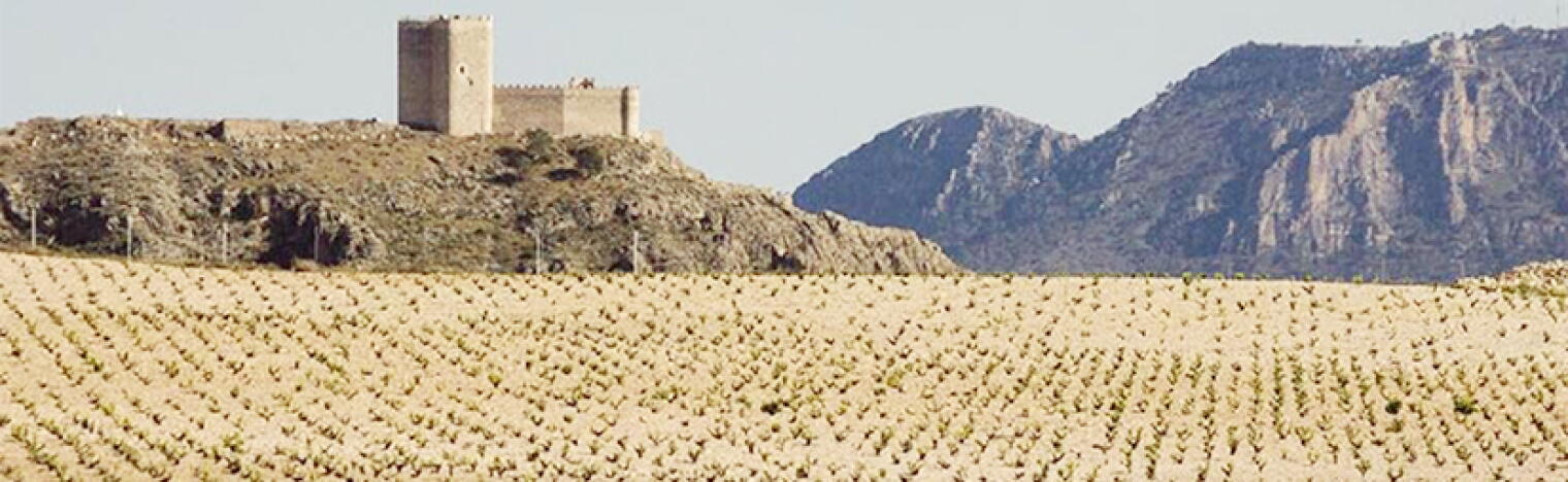 Bodegas Alceño