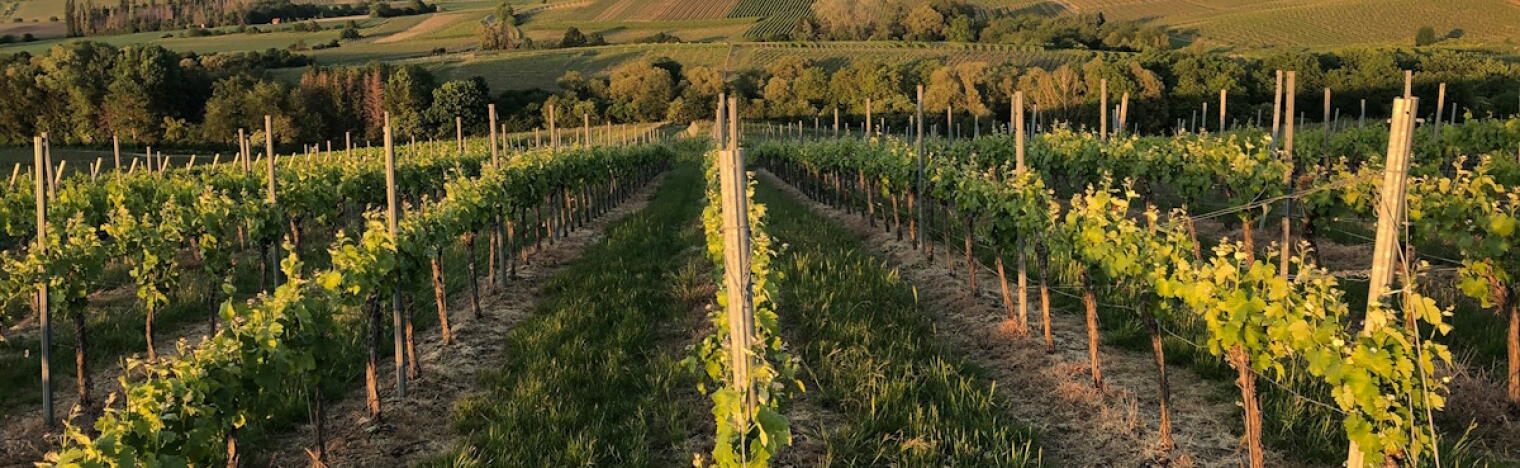 Weingut Mario und Lydia Dechent