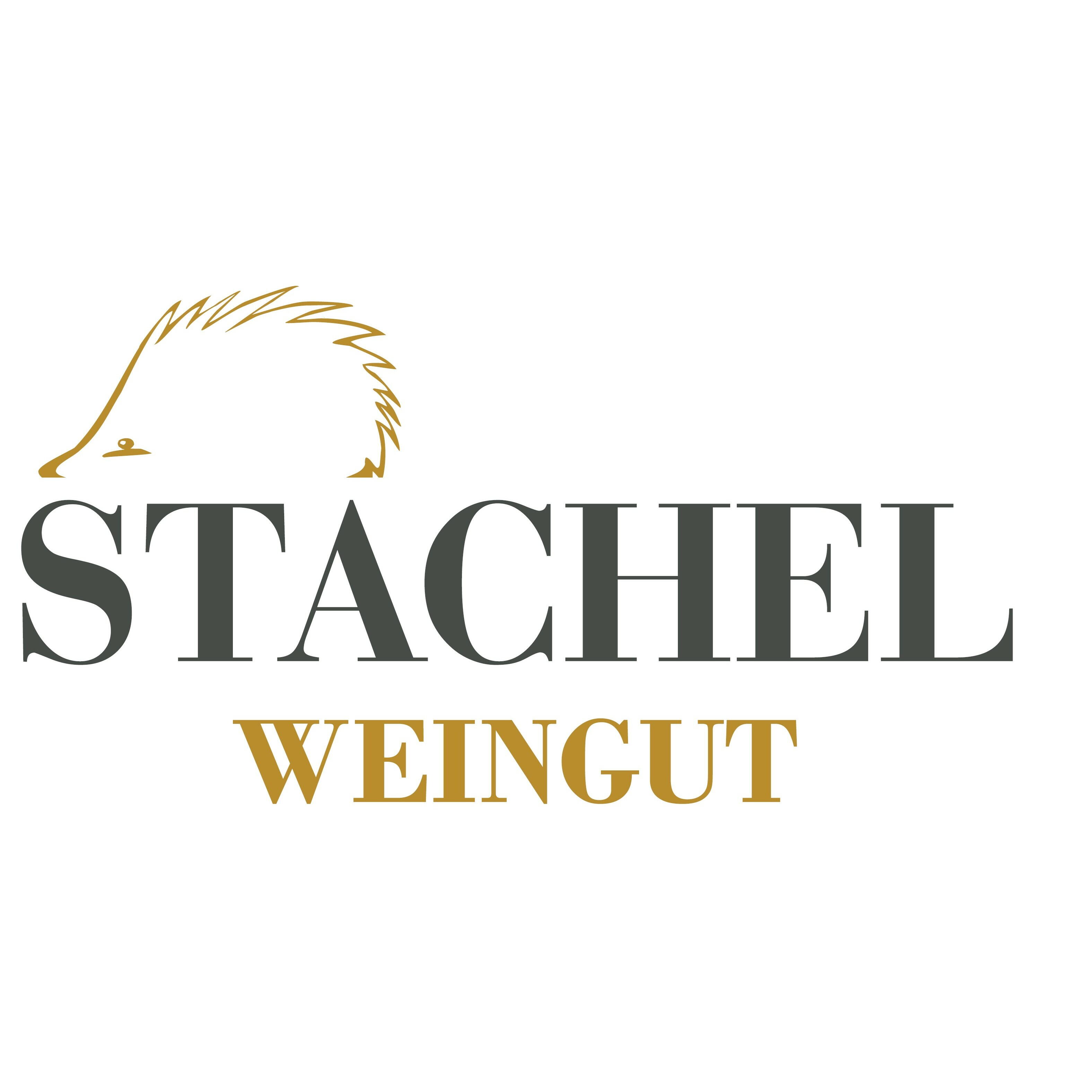 Weingut Erich Stachel