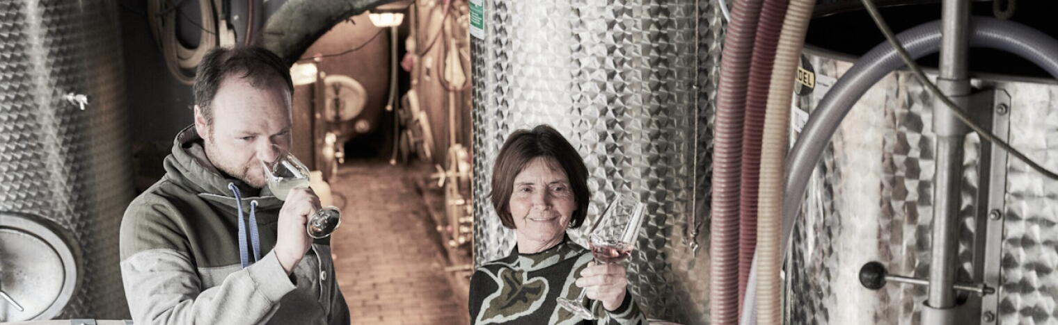 Weingut Stoll