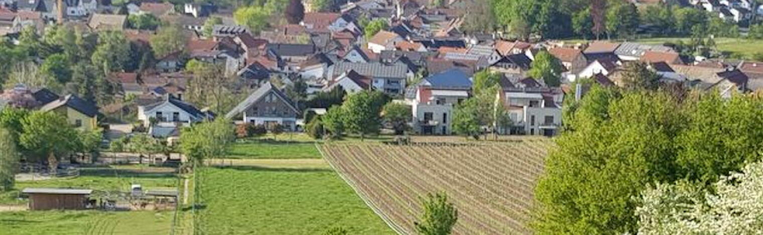 Winzerhof Wolf-Holl
