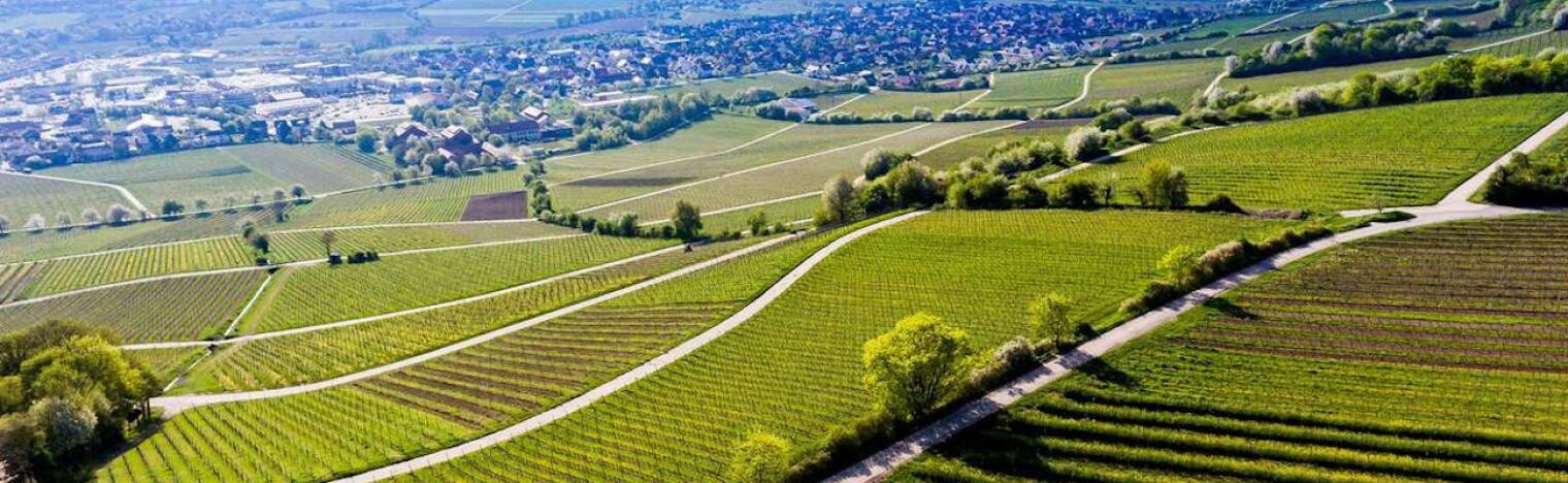 Weingut Volker Barth