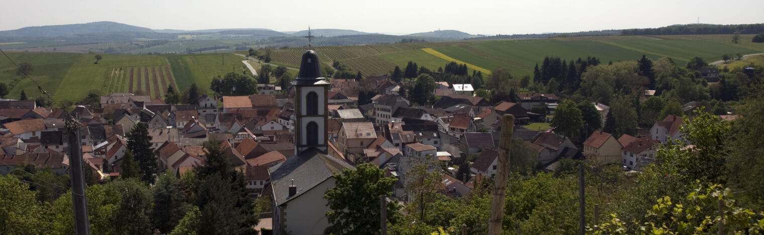 Weingut Sulzbacher